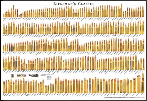 Bullet Size Chart All Rifle Calibers Smallest To Largest Wal