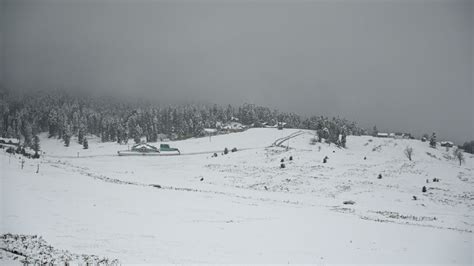 Photos | Gulmarg receives season's first snowfall | Hindustan Times