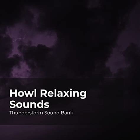 Amazon Music - Thunderstorm Sound Bank & Sounds of Thunderstorms & Rain & Thunderstorms Sleep ...