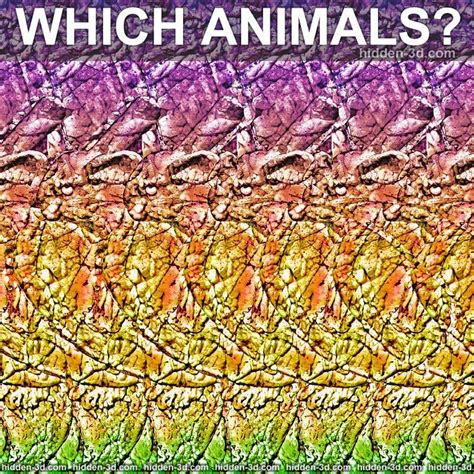 Stereogram by 3Dimka: How many and which animals?. Tags: turtle bunny rabit, hidden 3D picture ...