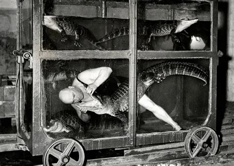 Bizarre and Unique Photos from History that Show How Weird our Past Was ...