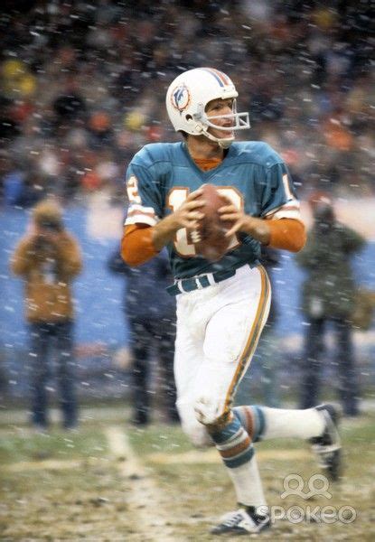 QB Bob Griese, 1976 Dolphins at Browns | Miami dolphins football, Dolphins football, Nfl ...