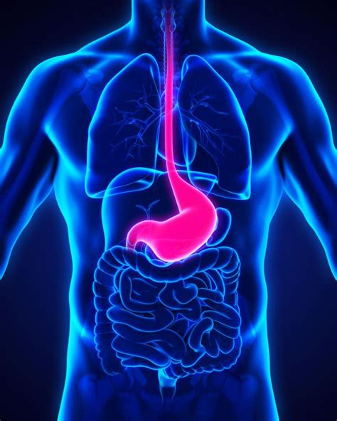 Peroral endoscopic myotomy offers long-term benefits in jackhammer ...