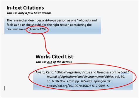 Two Types of Citation – MLA Style Citations
