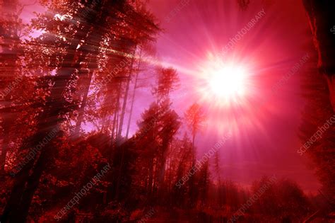 Tunguska event, illustration - Stock Image - C056/2039 - Science Photo Library