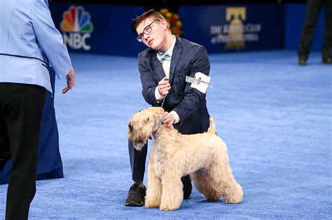 Best in Show winner at 2021 National Dog Show makes history