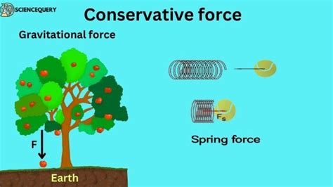 What is the Conservative force? - ScienceQuery