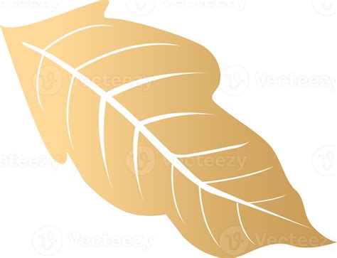 golden leaf icon 16384121 PNG