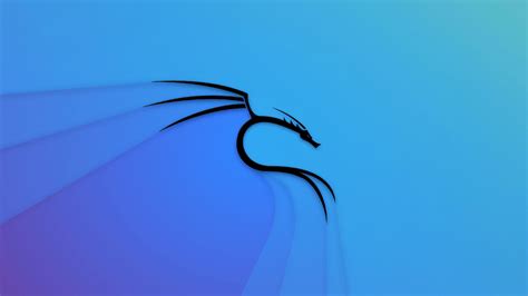 Nethunter Kali Linux Wallpapers - Wallpaper Cave