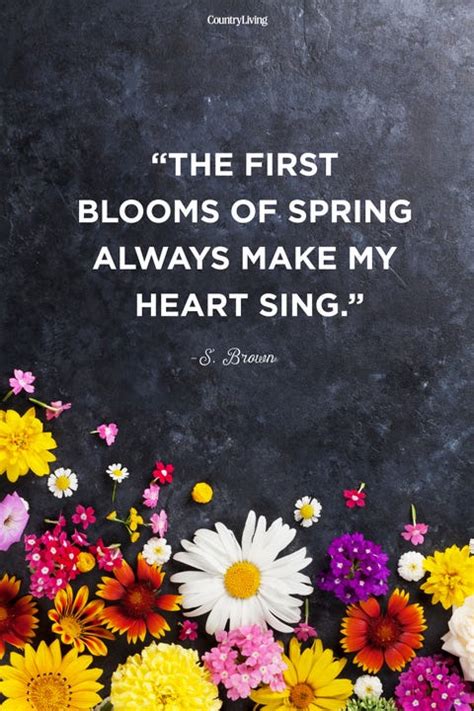 40 Best Happy Spring Quotes - Motivational Sayings About Spring