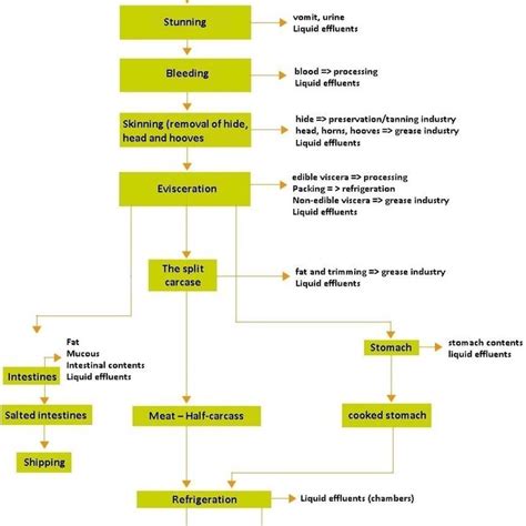 Basic flowchart of bovine slaughter Source: Slaughter Environmental... | Download Scientific Diagram