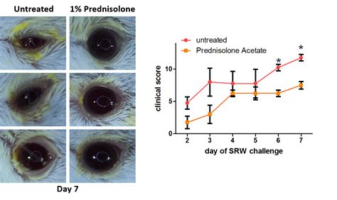 Allergic Conjunctivitis - EyeCRO