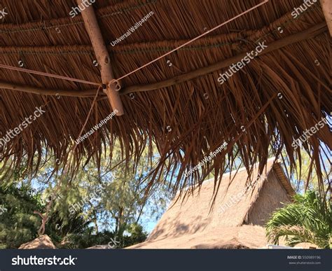 Bamboo Roof Background Texture Wallpaper Stock Photo 550989196 | Shutterstock