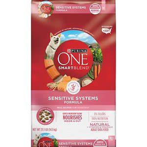 Purina ONE SmartBlend Skin & Coat Formula Adult Dry Dog Food Review 2023 - Pet Food Sherpa