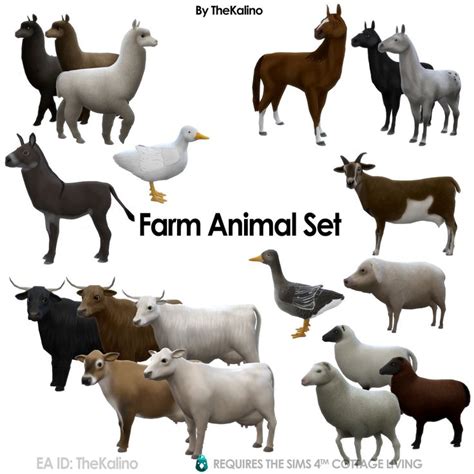 the farm animals are all different colors and sizes