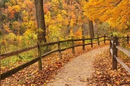 Delaware Water Gap Fall Foliage in Pennsylvania 2025 - Rove.me