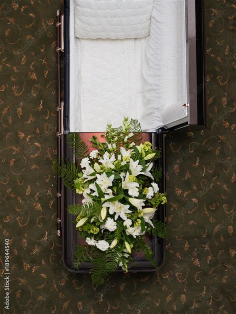 Overhead view of open empty coffin. Stock Photo | Adobe Stock