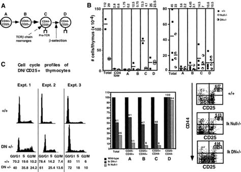 Differentiation profiles of early T cell precursors in the absence of ...