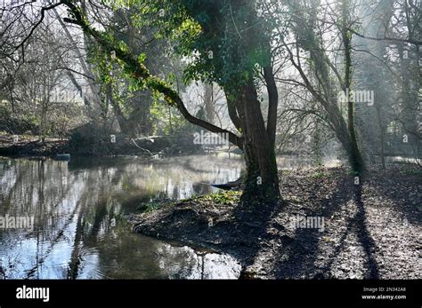 UK Weather. Sidcup, Kent. A morning mist lifted slowly to make way for sunshine as temperatures ...