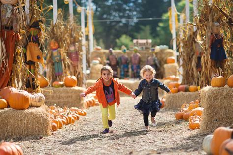 Colorado Fall, Pumpkin and Harvest Festivals 2018 | The Denver Ear