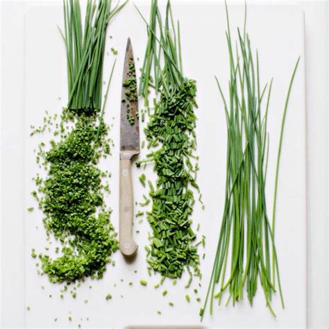 Chives | Herbs, Garden recipes, Fresh herbs