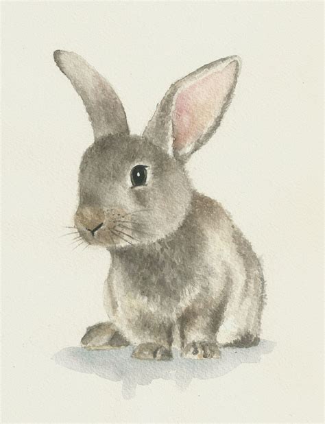 Rabbit watercolor, original bunny painting | Bunny painting, Rabbit art, Bunny art