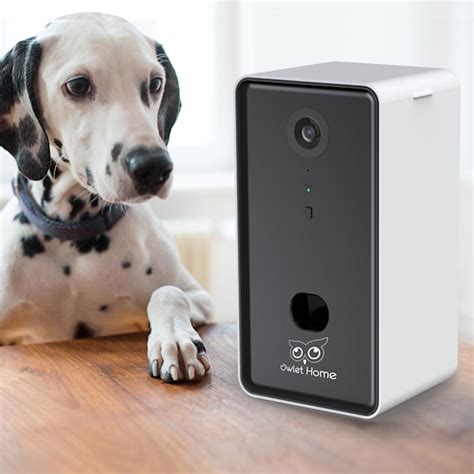 Owlet Home Pet Camera with Treat Dispenser | Petco