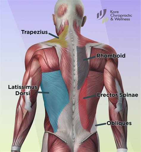 Pin on Posture