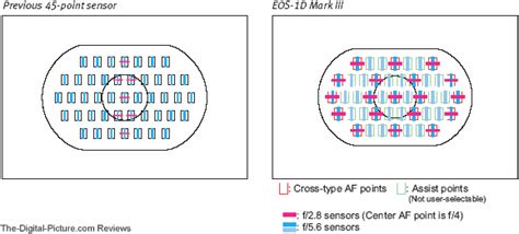 Canon EOS-1D Mark III Review