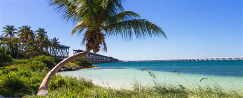 Beaches Near Islamorada | A Local's Guide | Kon Tiki Resort in Islamorada