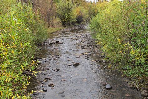 Cimarron River Flow Restoration – Business for Water Stewardship