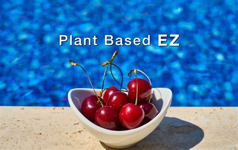 Plant Based EZ