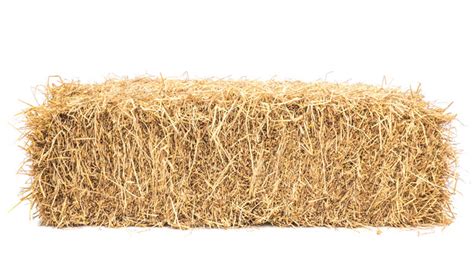 Building a House with Bales of Straw? Believe it! – 55 Plus Magazine ...