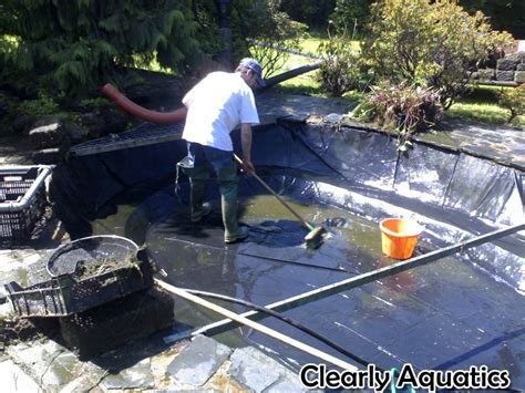 Pond cleaning maintenance 'fish health and consultancy services