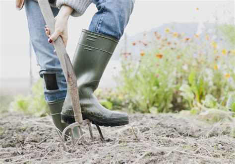 The 8 Best Gardening Shoes of 2021