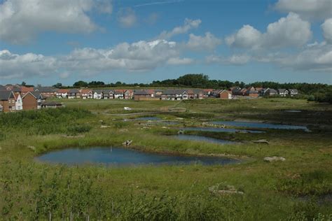 Heathlands Residential Scheme, Buckley | TEP – The Environment Partnership