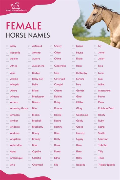 655+ Female Horse Names (Beautiful Mare Or Filly Ideas)