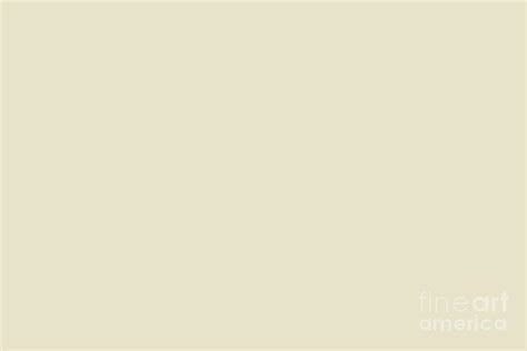 Valspar America Crafted White Off White Cream 3007-6C Solid Color Digital Art by PIPA Fine Art ...