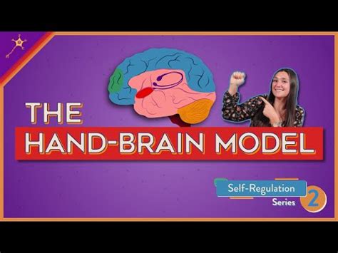 The Hand-Brain Model! | Self-Regulation Lesson 2 | Brain models, Self ...