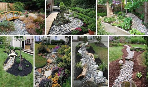 15 Stunning Dry Creek Landscaping Ideas That You Will Love