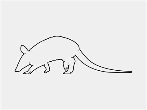 armadillo outline vector silhouette 11139086 Vector Art at Vecteezy