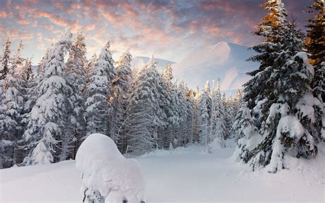 winter, Nature, Snow, Beautiful, Lovely, Landscape, Landscapes Wallpapers HD / Desktop and ...