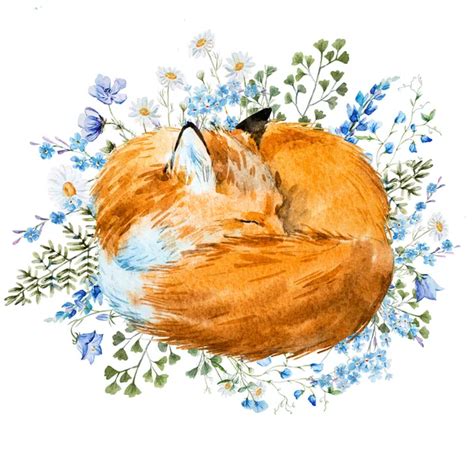 Watercolor sleeping fox — Stock Vector © ZeninaAsya #111630072