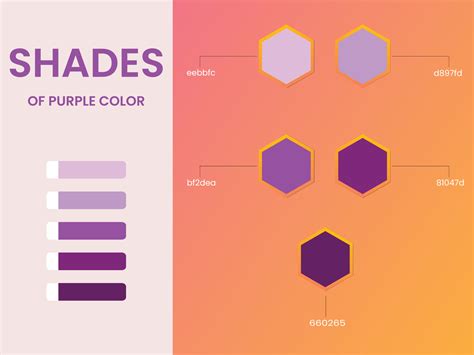Purple Color Palette Vector Art Icons And Graphics Fo - vrogue.co