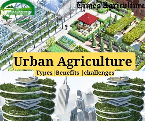 Urban Agriculture | Types, Benefits and challenges - Times Agriculture