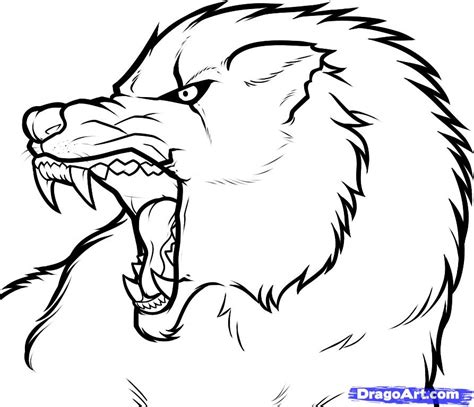 Growling Wolf Drawing - ClipArt Best