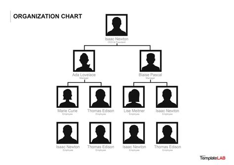 Organogram Template Word Free – Support.theboogaloo.org