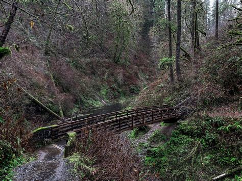 Trail of Ten Falls: Silver Falls State Park - Maddie Deer