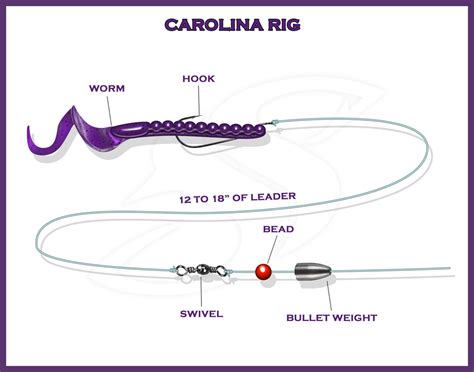 Carolina Rig | When to Use it and Why