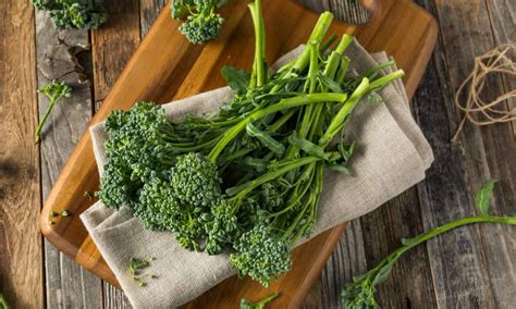 Broccolini vs Broccoli: 5 Key Differences - A-Z Animals